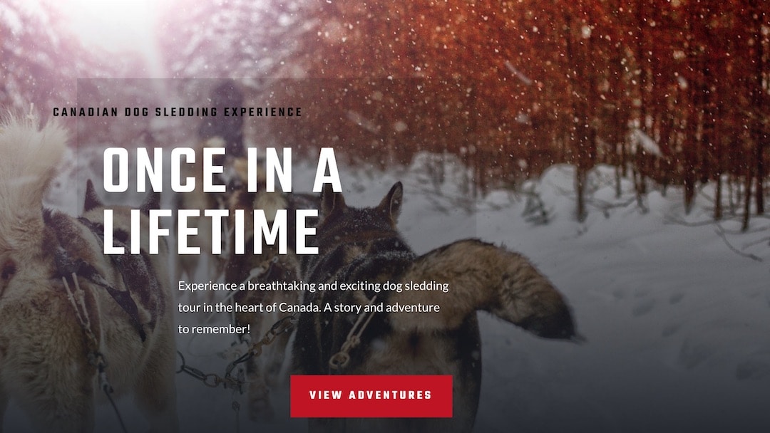 Perseverance Racing Kennels Website - WCS Portfolio